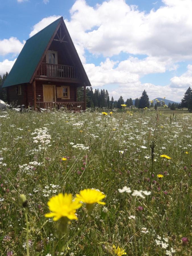 Holiday Home Jabucilo Žabljak Zewnętrze zdjęcie